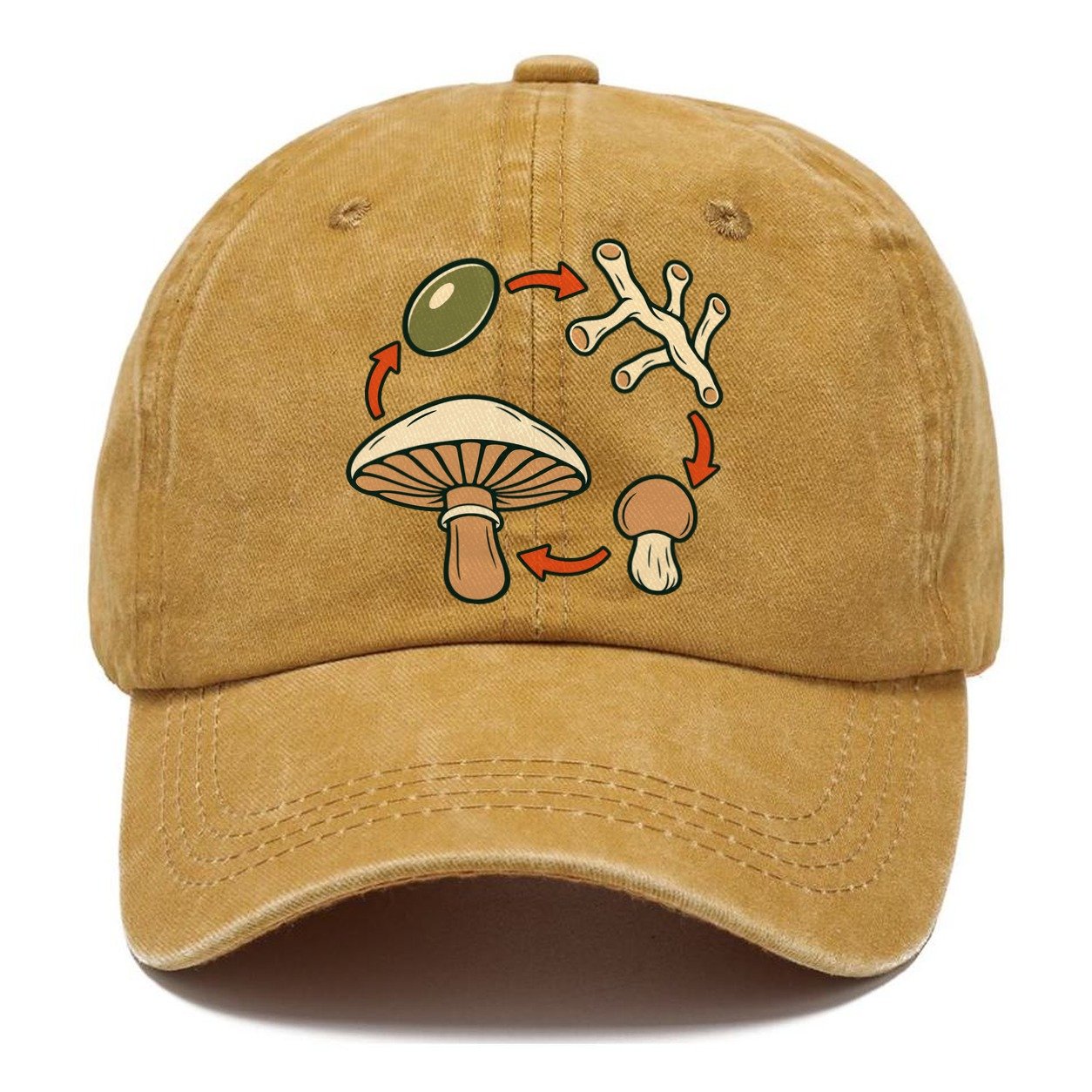 Fruiting Cycle Ring Foraging And Mycology Classic Cap – Golden Harvest