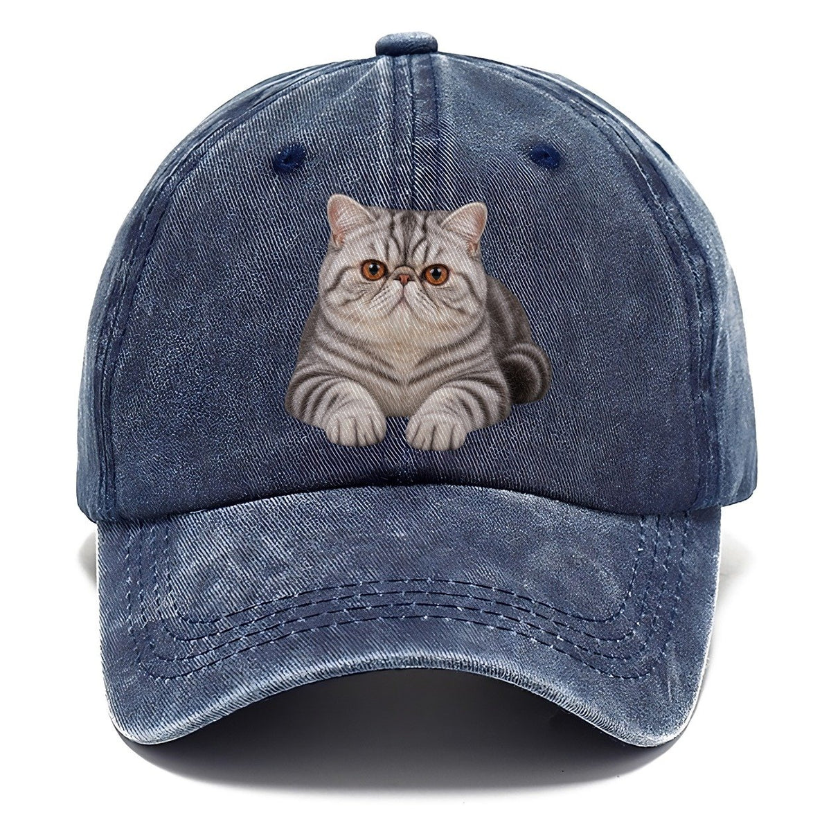 Exotic Shorthair Reclining Paws Forward Realistic Cat Portrait Classic Cap – Twilight Navy
