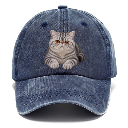 Exotic Shorthair Reclining Paws Forward Realistic Cat Portrait Classic Cap – Twilight Navy