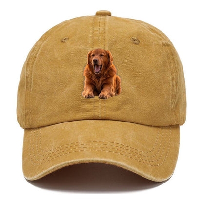 Golden Retriever Yawn Classic Cap – Golden Harvest