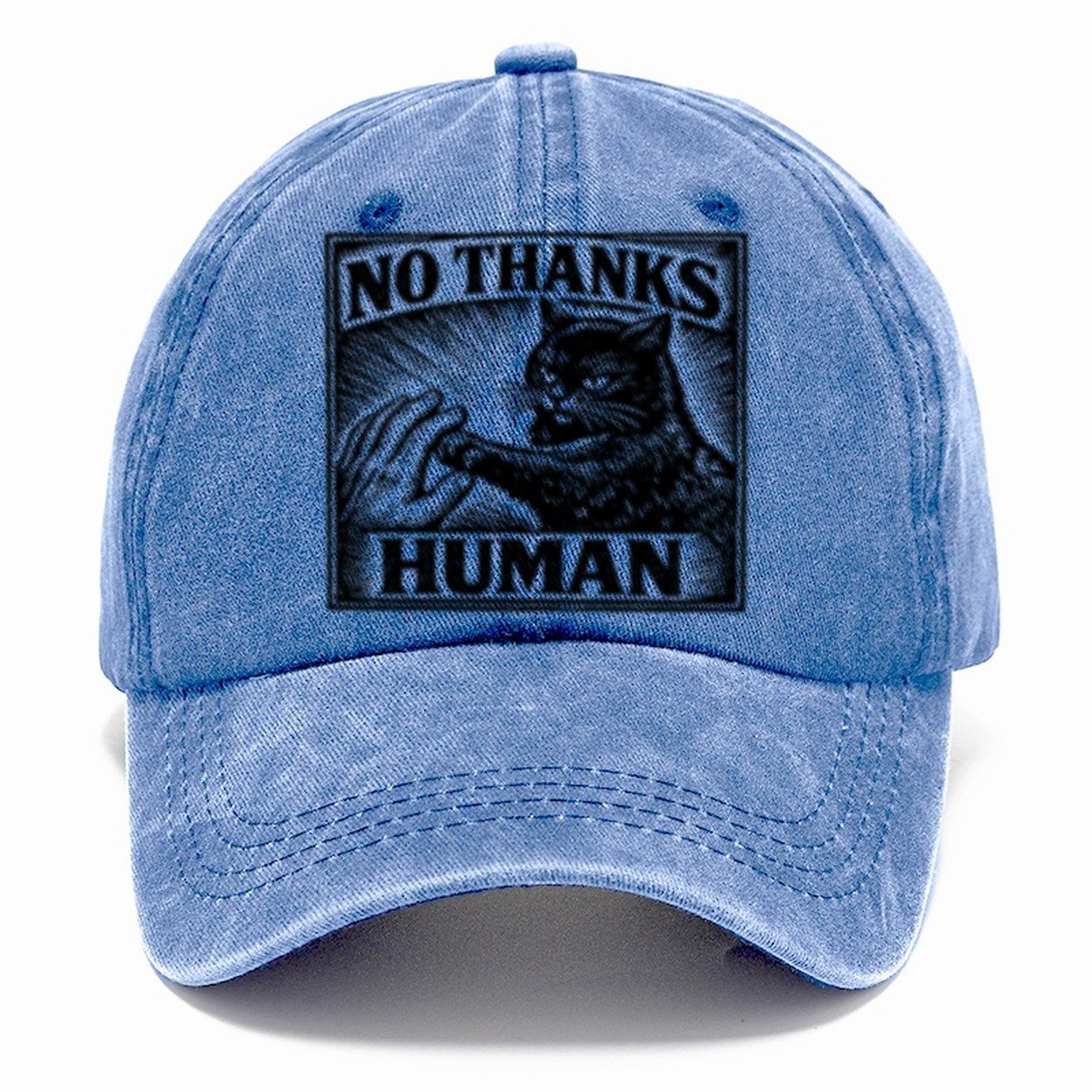 No Thanks Human Classic Cap – Summer Sky