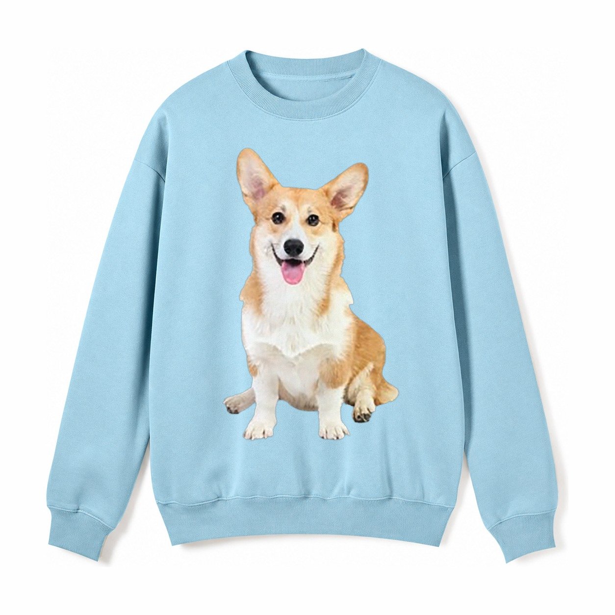 Welsh Corgi Owner Owner Fleece Sweatshirt – Light Blue
