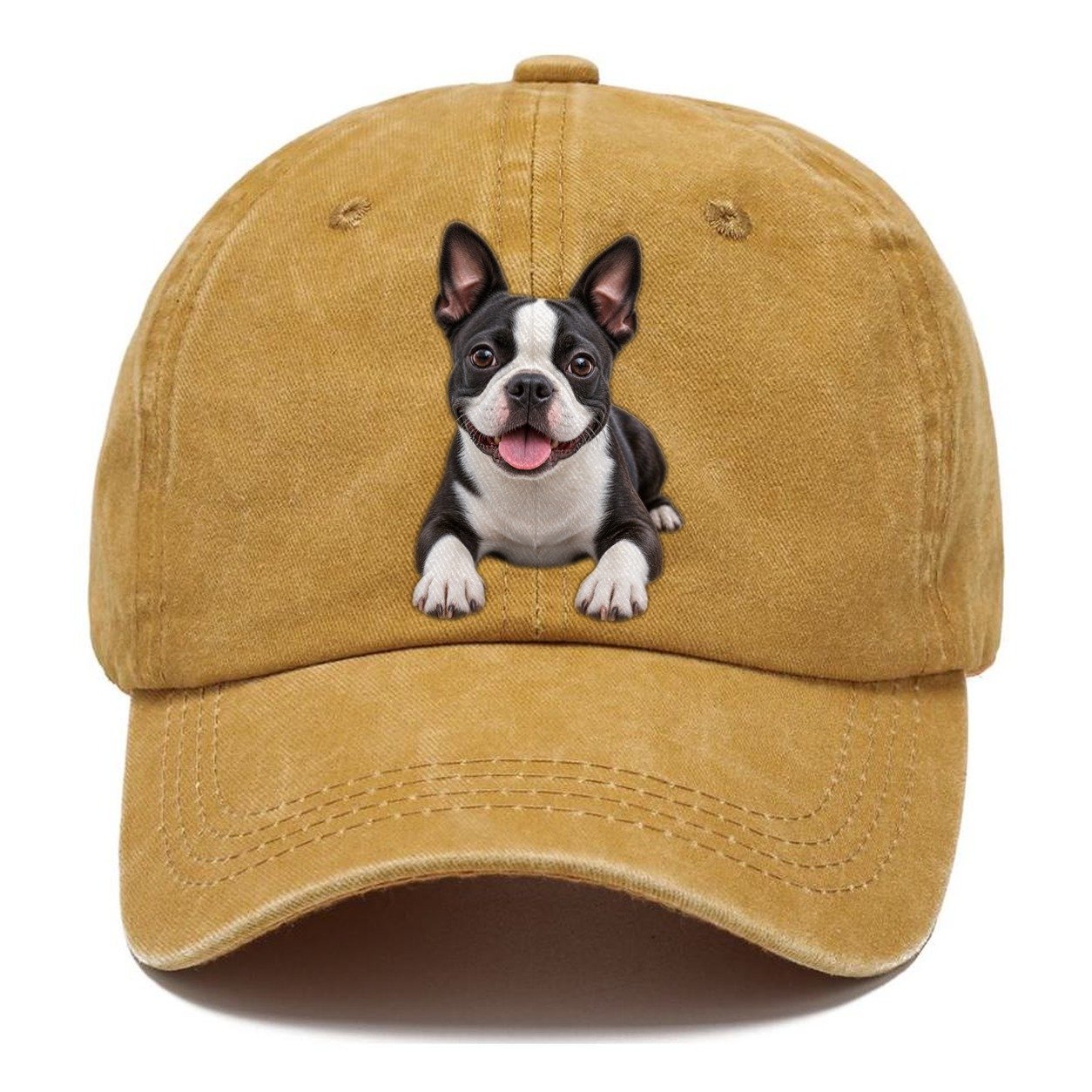 Boston Terrier Lying Down Top Breeds Classic Cap – Golden Harvest
