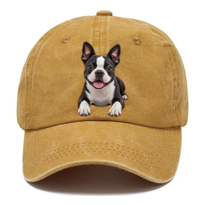 Boston Terrier Lying Down Top Breeds Classic Cap – Golden Harvest