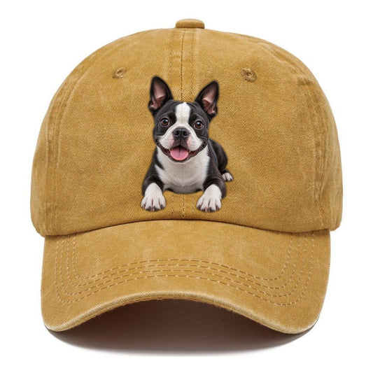 Boston Terrier Lying Down Top Breeds Classic Cap – Golden Harvest