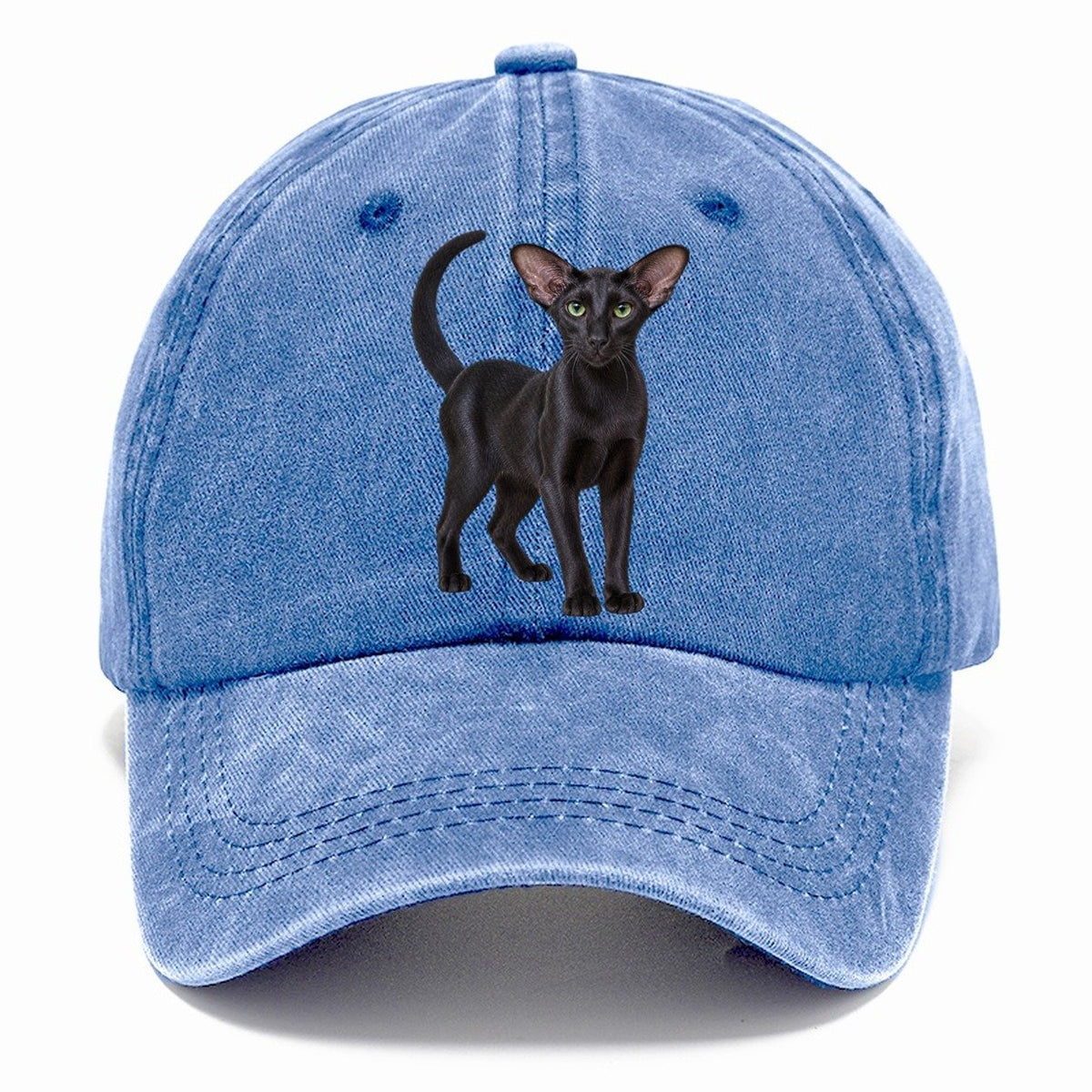 Oriental Shorthair Standing Three Quarter Realistic Cat Portrait Classic Cap – Summer Sky