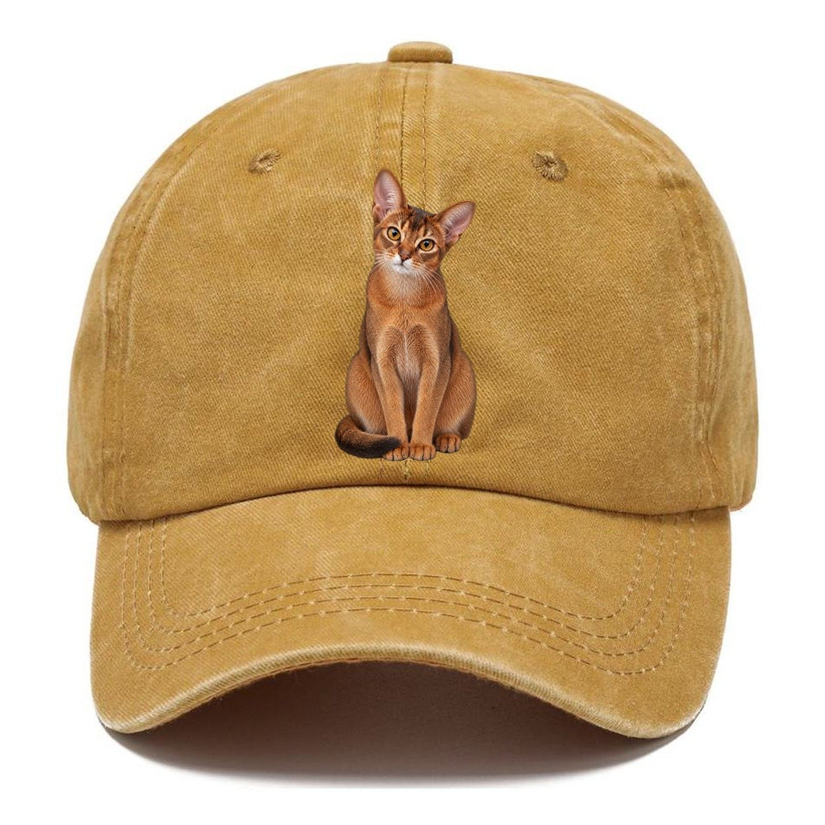 Abyssinian Seated Portrait Realistic Cat Portrait Classic Cap – Golden Harvest