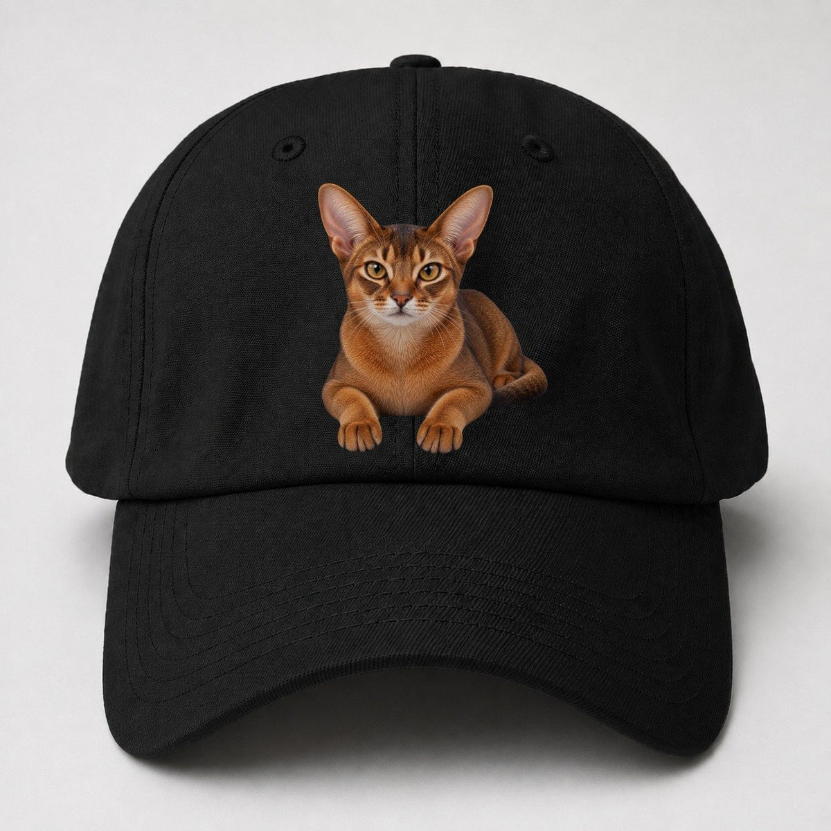 Abyssinian Reclining Paws Forward Realistic Cat Portrait Baseball Cap – Black