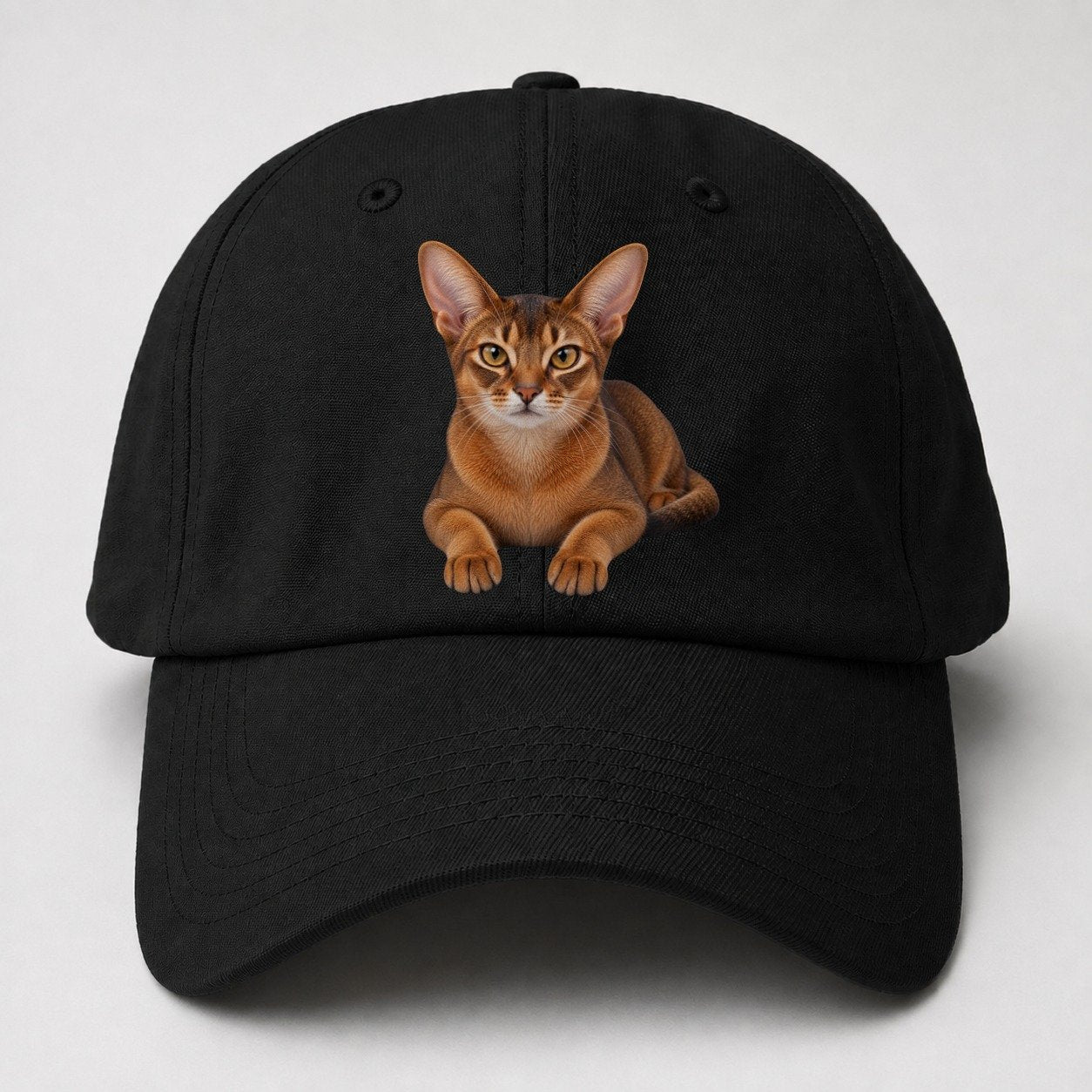 Abyssinian Reclining Paws Forward Realistic Cat Portrait Baseball Cap – Black