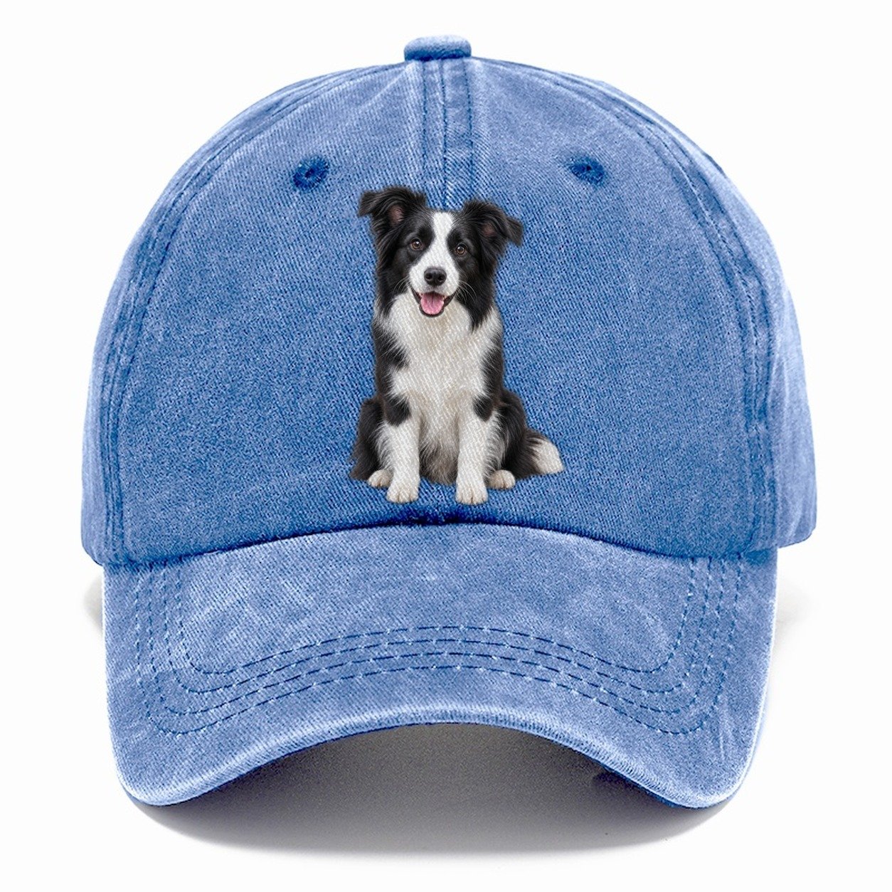 Border Collie Sitting Top Breeds Classic Cap – Summer Sky