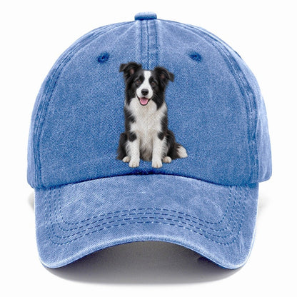 Border Collie Sitting Top Breeds Classic Cap – Summer Sky