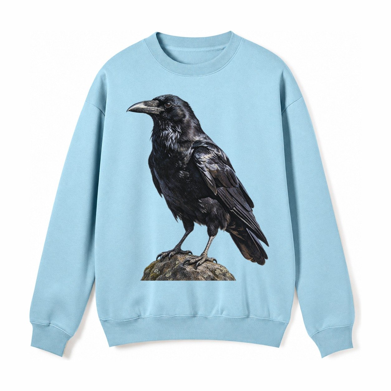Raven Fleece Sweatshirt – Light Blue