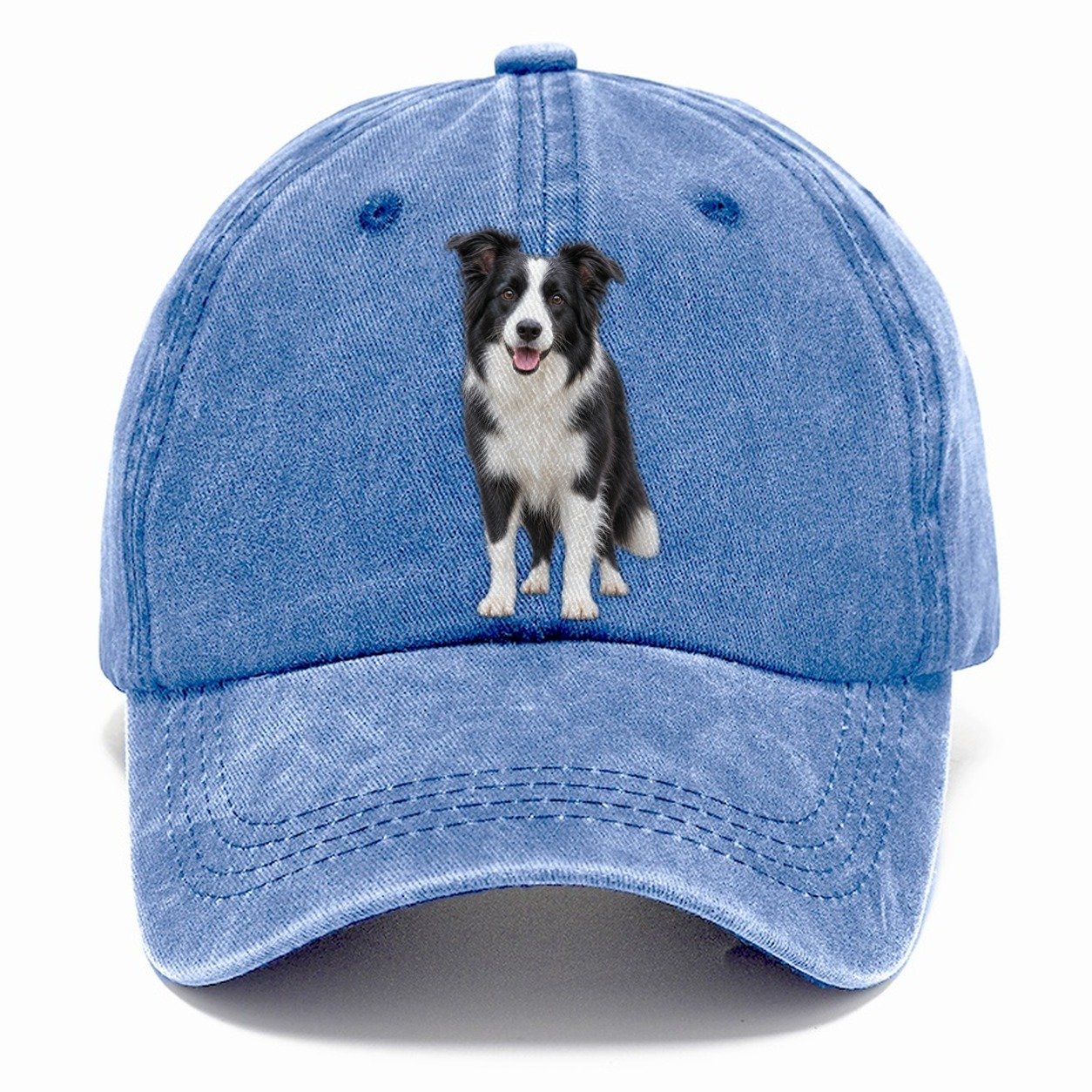 Border Collie Standing Top Breeds Classic Cap – Summer Sky