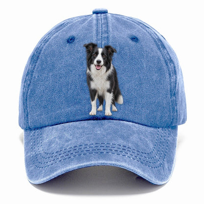 Border Collie Standing Top Breeds Classic Cap – Summer Sky
