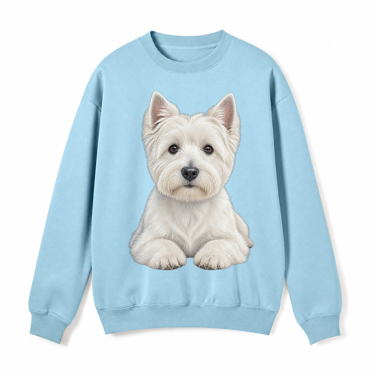 Pickleball Fleece Sweatshirt – Light Blue