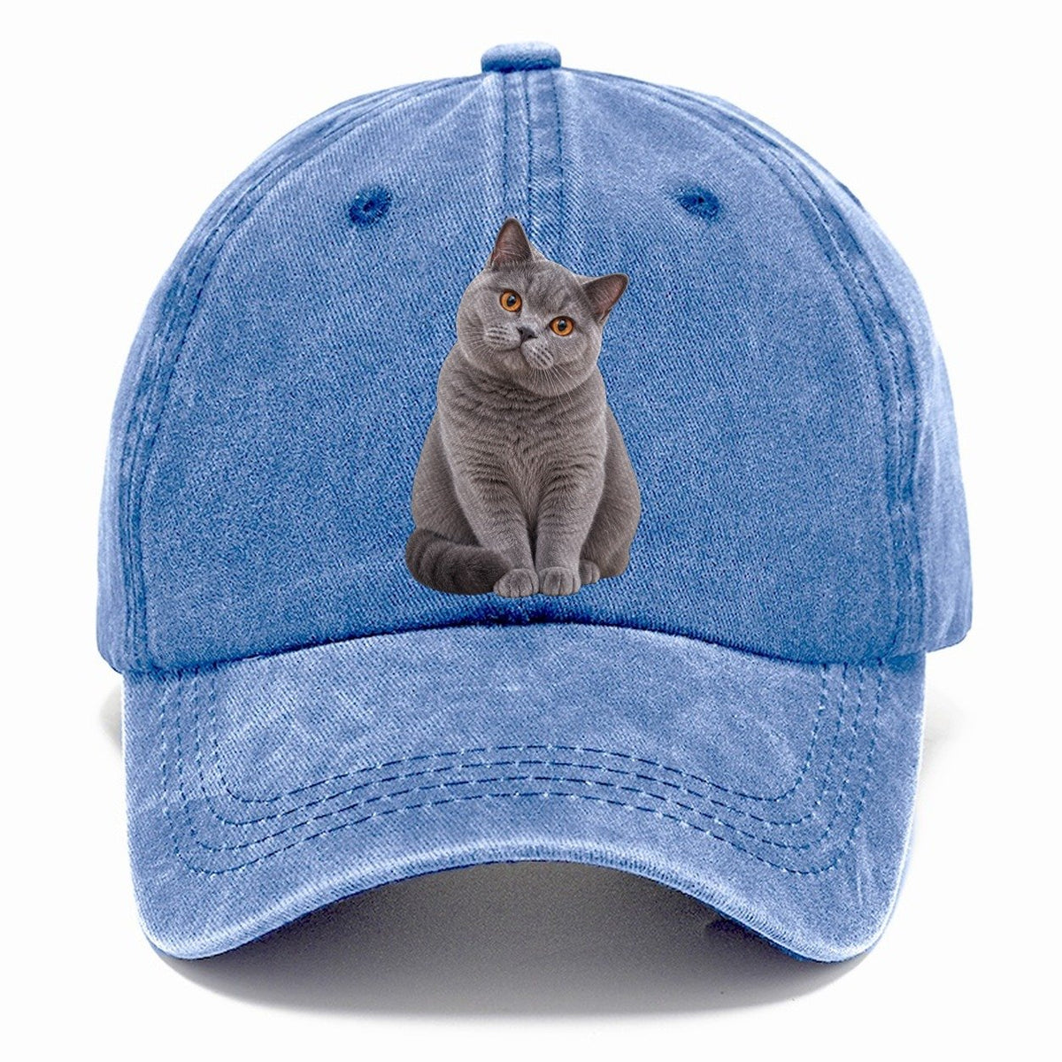 British Shorthair Seated Portrait Realistic Cat Portrait Classic Cap – Summer Sky
