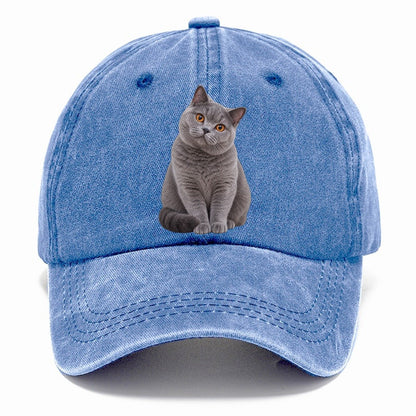 British Shorthair Seated Portrait Realistic Cat Portrait Classic Cap – Summer Sky