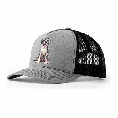 Great Dane Sitting Top Breeds Trucker Hat – Sport Grey Black