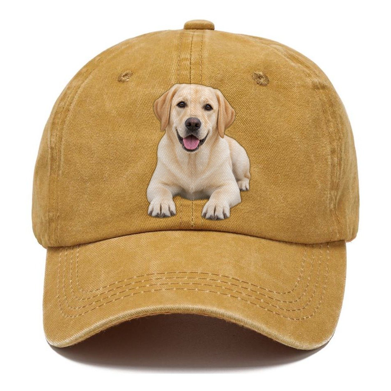 Labrador Retriever Lying Down Top Breeds Classic Cap – Golden Harvest