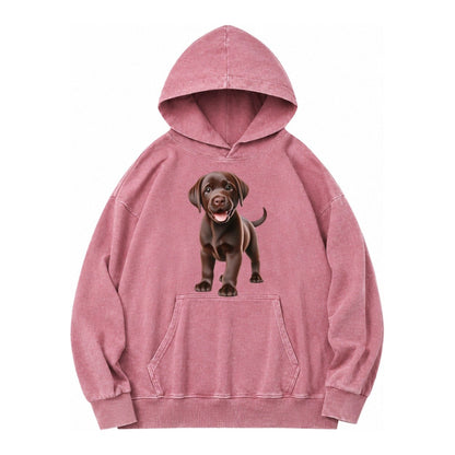 Chocolate Labrador Vintage Washed Hoodie – Dusty Rose