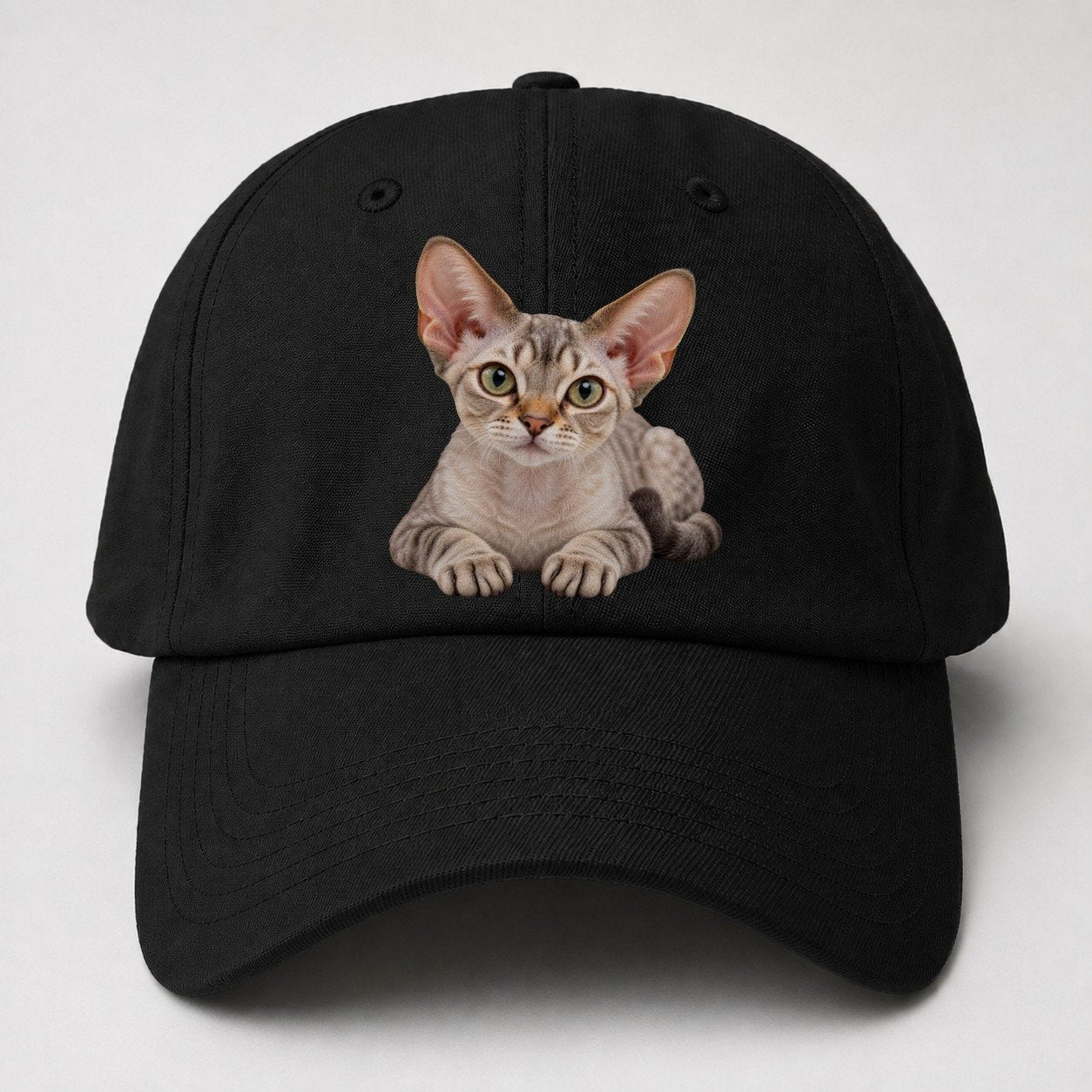 Devon Rex Reclining Paws Forward Realistic Cat Portrait Baseball Cap – Black