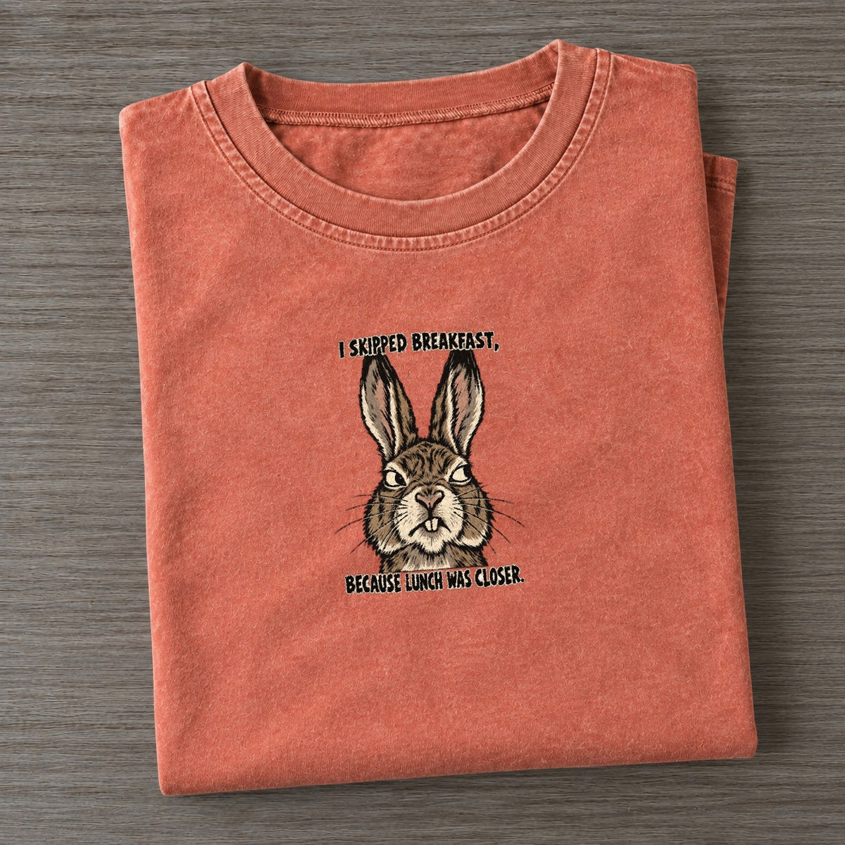 I Skipped Breakfast Feral Logic Vintage T-shirt – Terracotta
