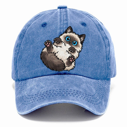 Ragdoll Flopped Peeking Cats Classic Cap – Summer Sky