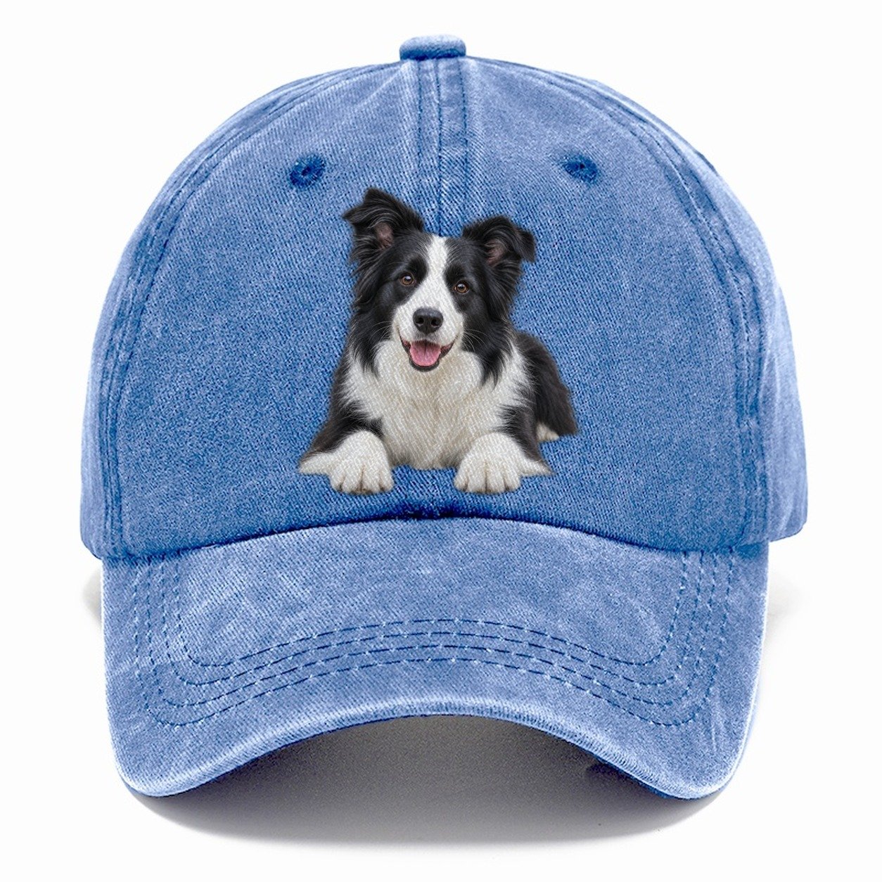 Border Collie Lying Down Top Breeds Classic Cap – Summer Sky