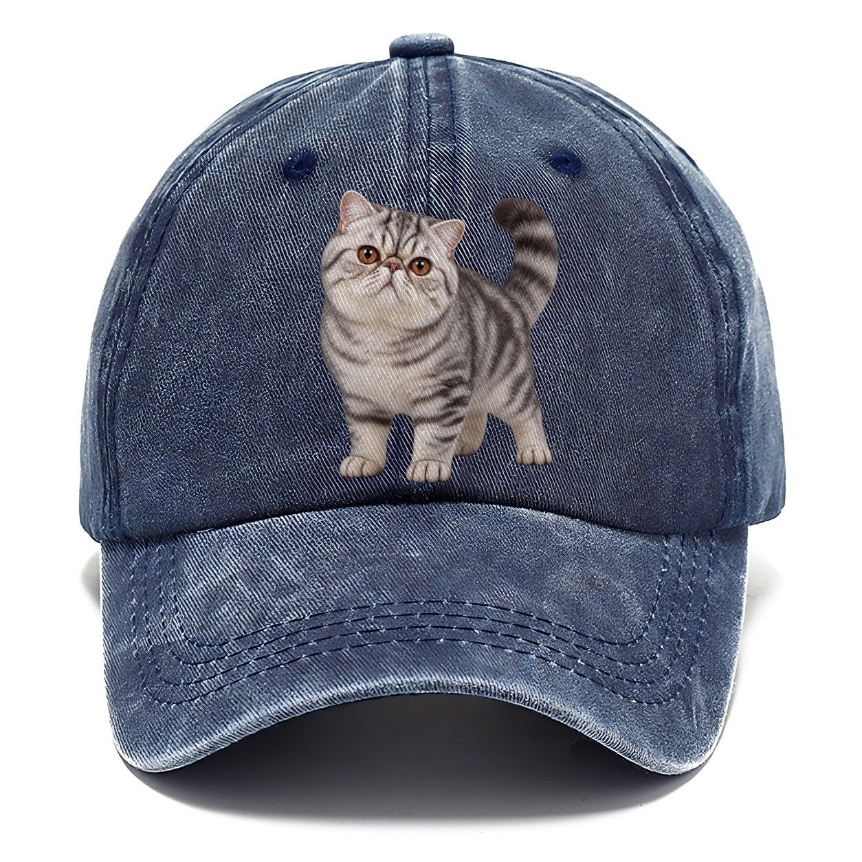 Exotic Shorthair Standing Three Quarter Realistic Cat Portrait Classic Cap – Twilight Navy