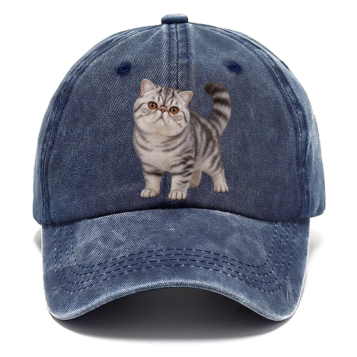 Exotic Shorthair Standing Three Quarter Realistic Cat Portrait Classic Cap – Twilight Navy