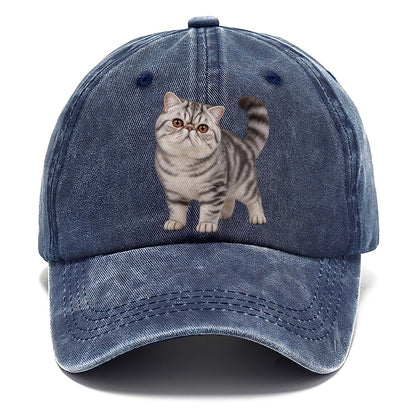 Exotic Shorthair Standing Three Quarter Realistic Cat Portrait Classic Cap – Twilight Navy