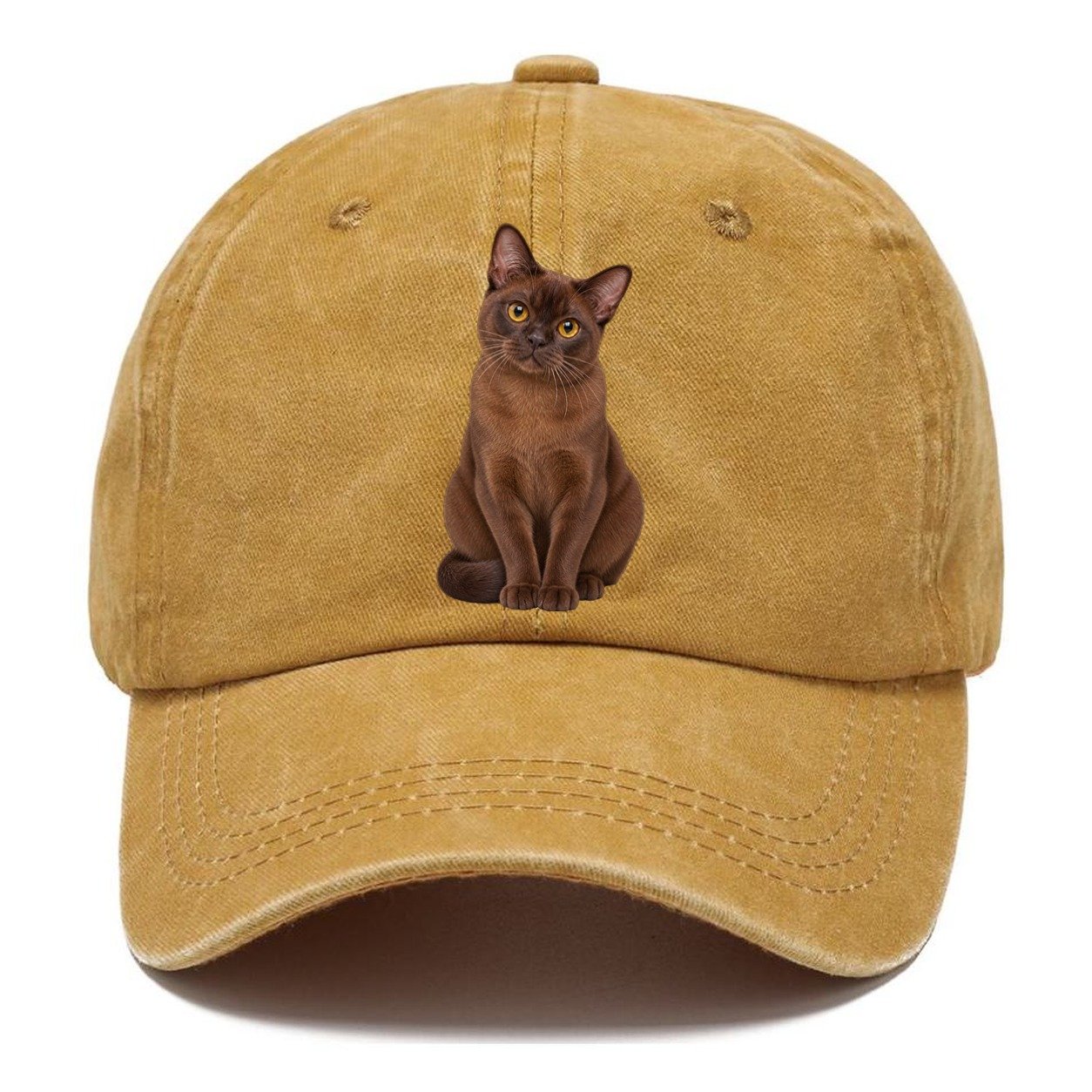 Burmese Seated Portrait Realistic Cat Portrait Classic Cap – Golden Harvest