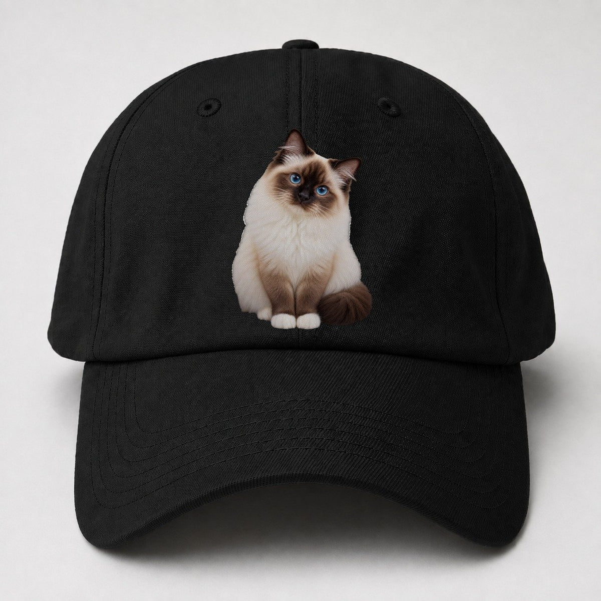 Birman Seated Portrait Realistic Cat Portrait Baseball Cap – Black