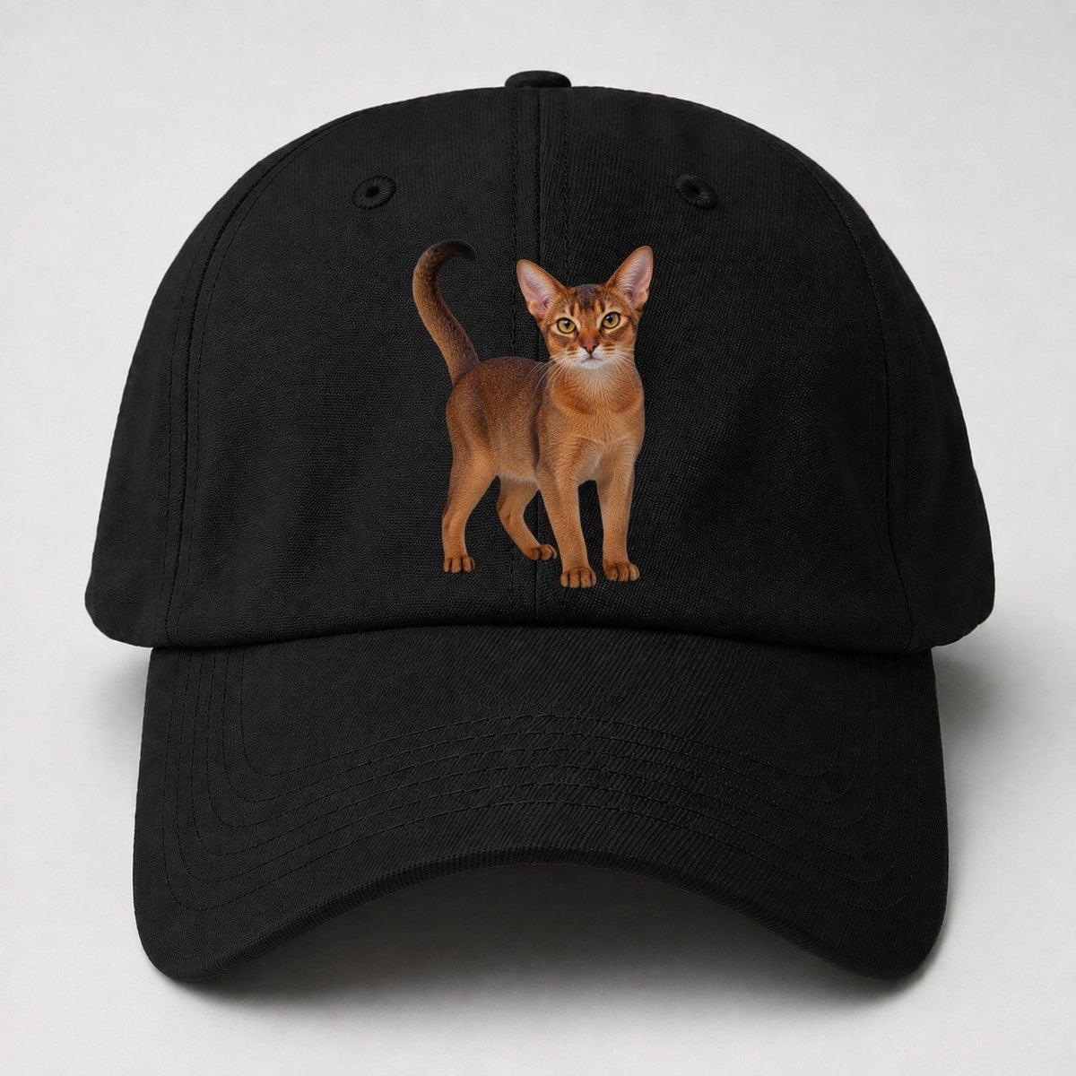 Abyssinian Standing Three Quarter Realistic Cat Portrait Baseball Cap – Black