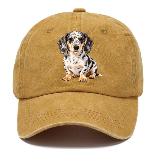 Dachshund Transparent Classic Cap – Golden Harvest