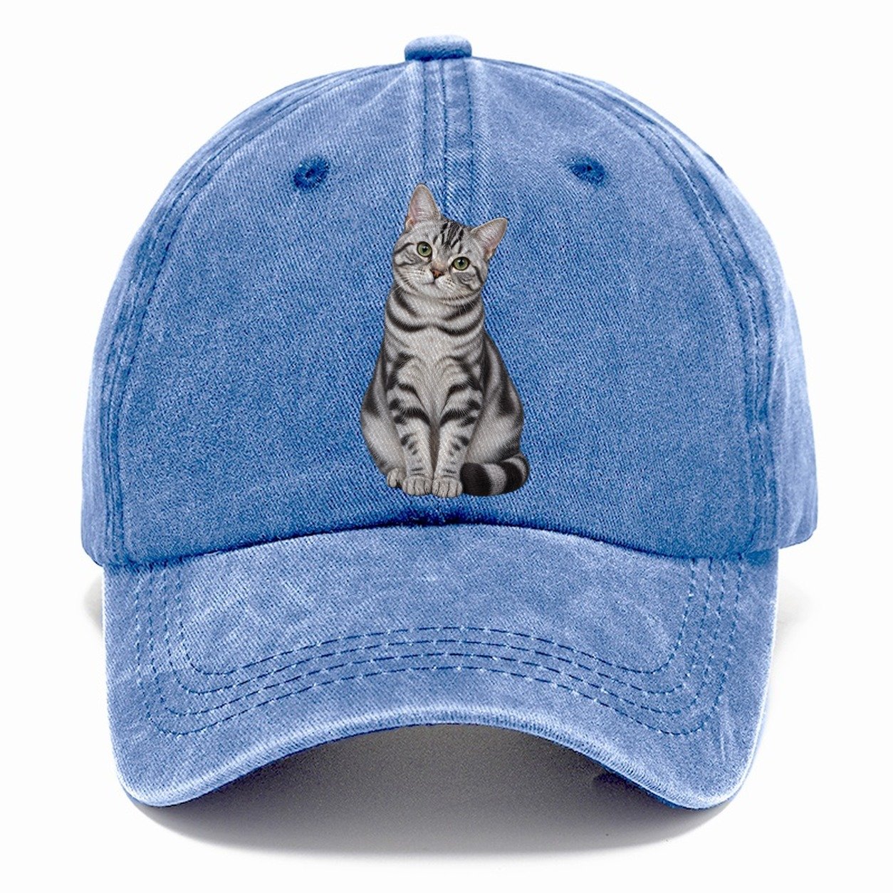 American Shorthair Seated Portrait Realistic Cat Portrait Classic Cap – Summer Sky