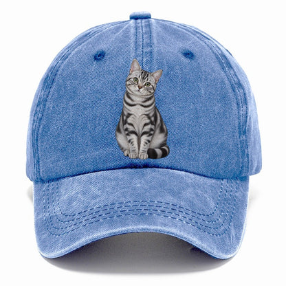 American Shorthair Seated Portrait Realistic Cat Portrait Classic Cap – Summer Sky