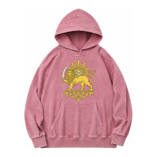 Shir O Khorshid Vintage Washed Hoodie