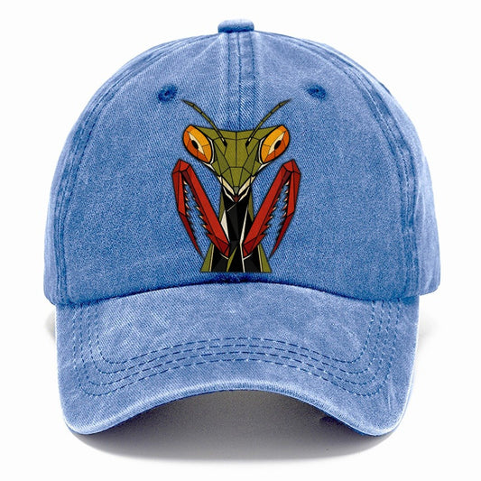 Praying Mantis Portrait Classic Cap – Summer Sky