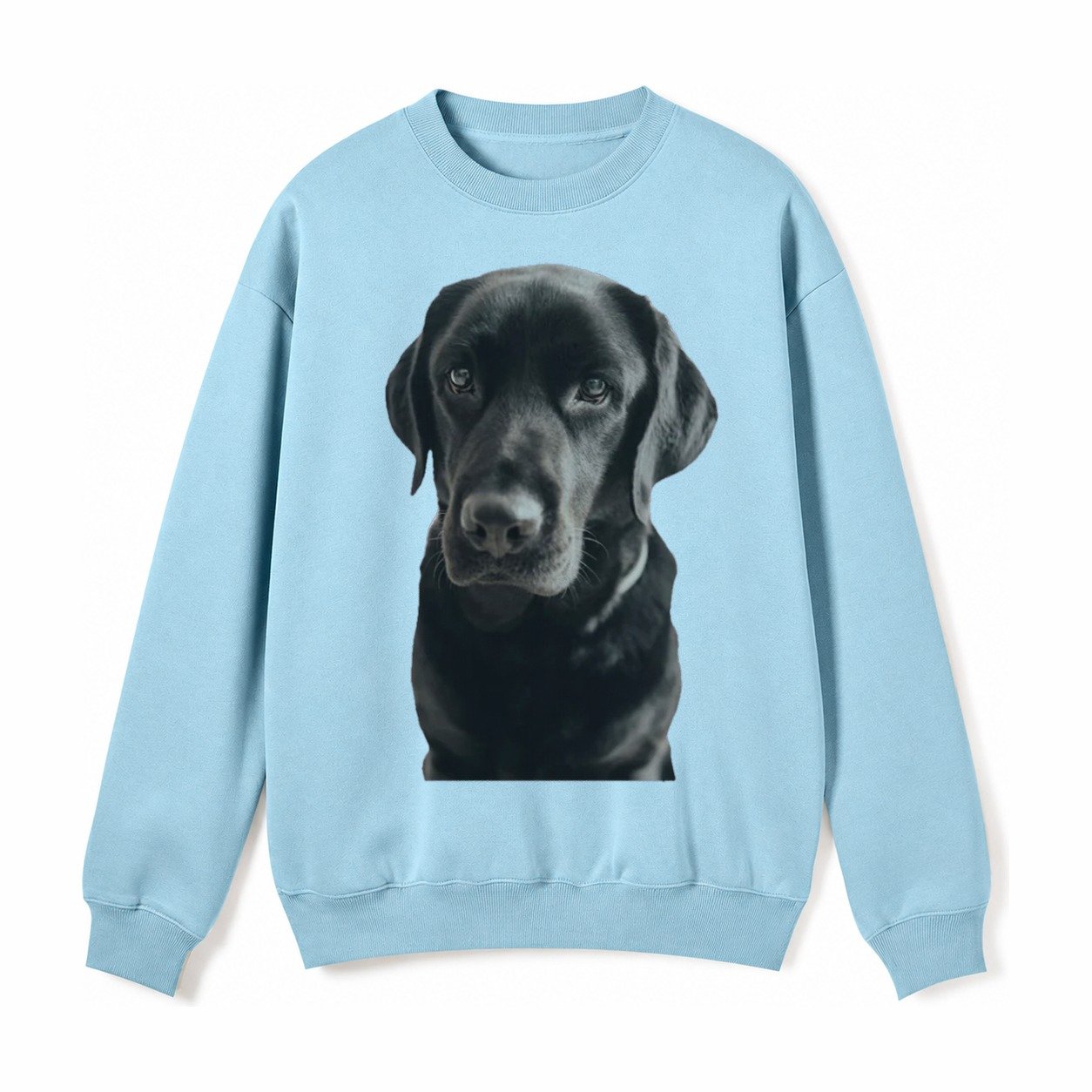 Black Labrador Fleece Sweatshirt – Light Blue