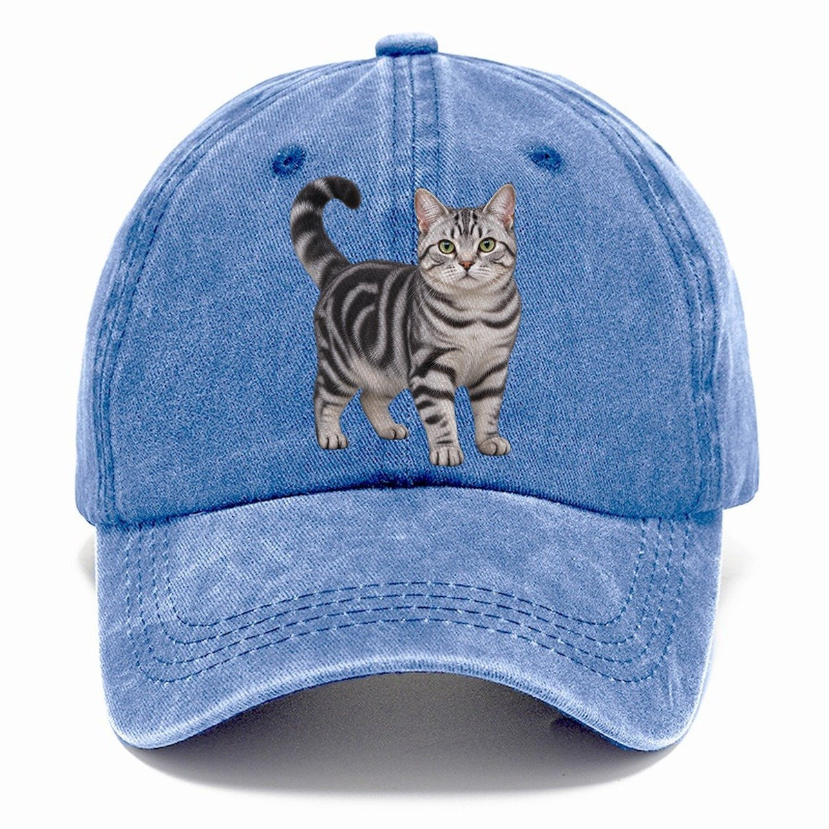 American Shorthair Standing Three Quarter Realistic Cat Portrait Classic Cap – Summer Sky