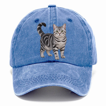 American Shorthair Standing Three Quarter Realistic Cat Portrait Classic Cap – Summer Sky
