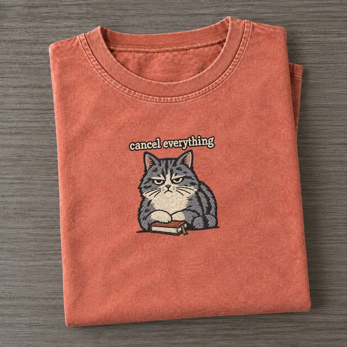 Cancel Everything Strongly Worded Vintage T-shirt – Terracotta