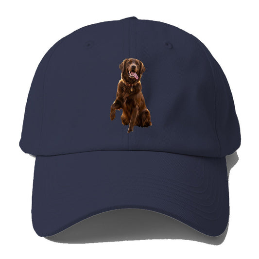 Dark Retriever Baseball Cap – Twilight Navy