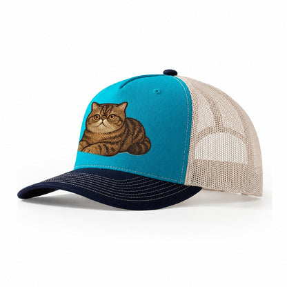 Exotic Shorthair Flat Face Plush Coat Relaxed Lying Down Wit Trucker Hat – Teal-Navy