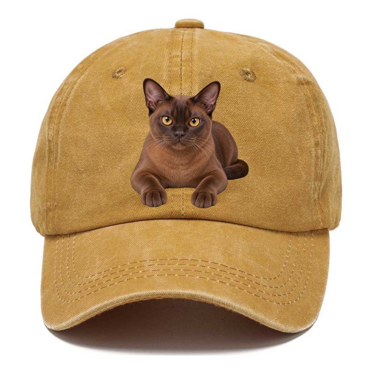 Burmese Reclining Paws Forward Realistic Cat Portrait Classic Cap – Golden Harvest