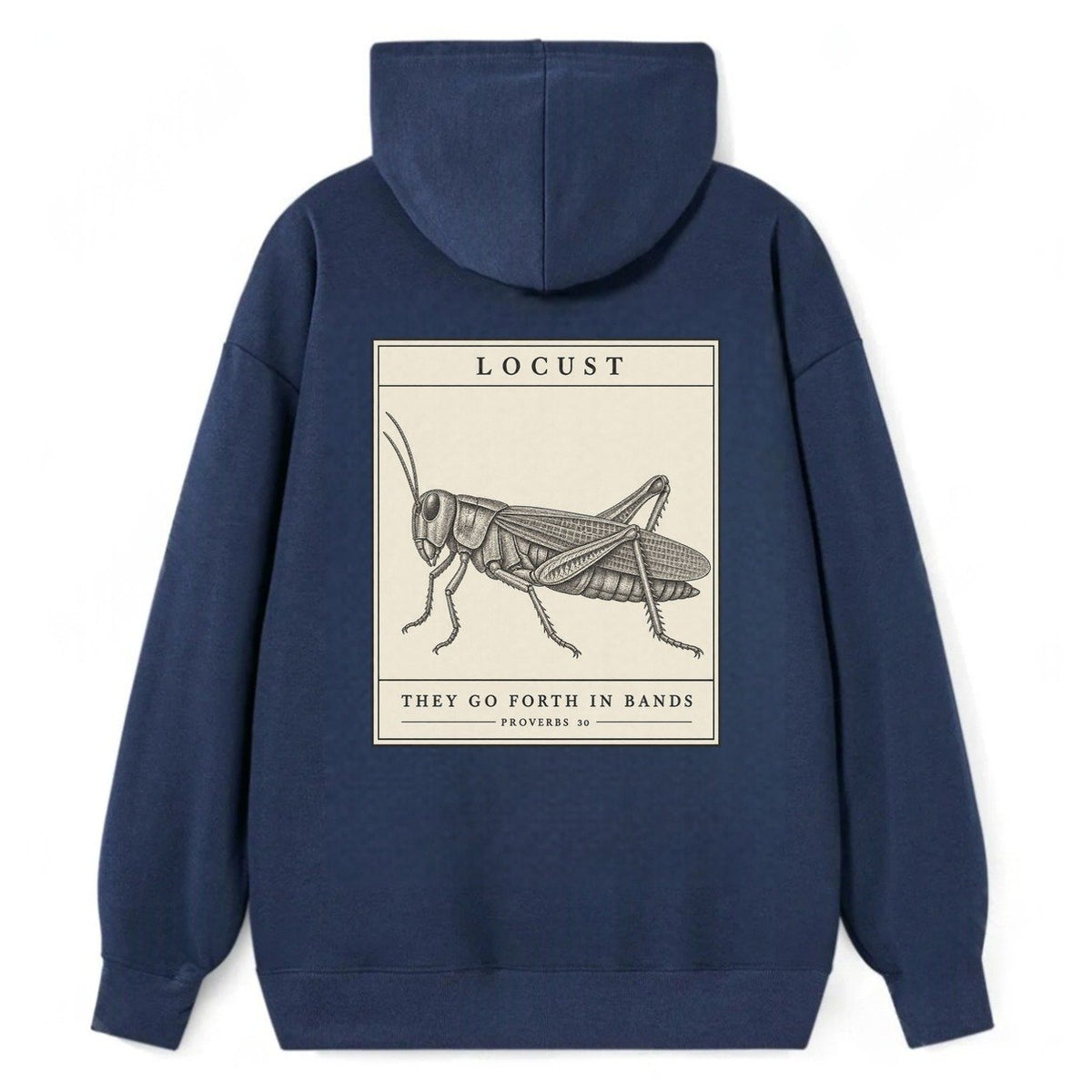Locust Specimen Plate Creature Canticle Classic Pullover Hoodie – Navy