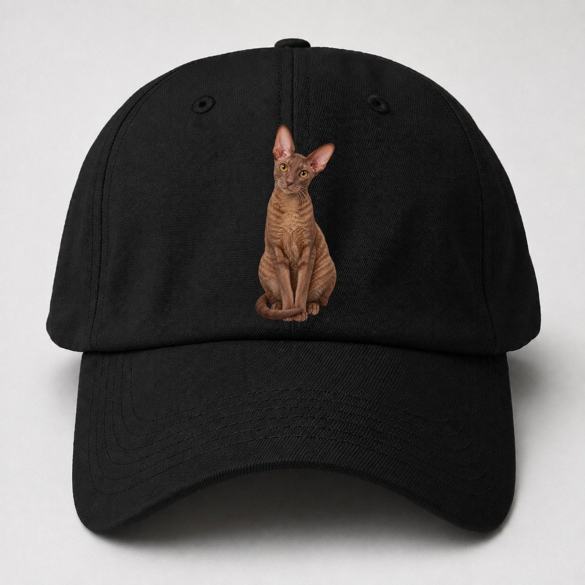 Cornish Rex Seated Portrait Realistic Cat Portrait Baseball Cap – Black