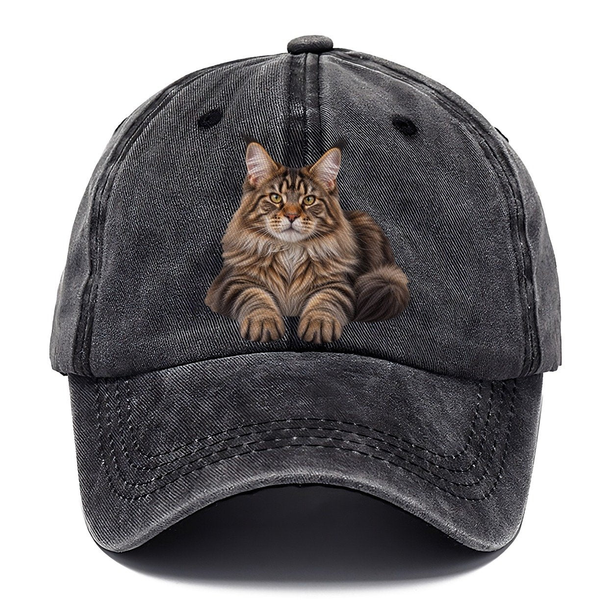 Maine Coon Reclining Paws Forward Realistic Cat Portrait Classic Cap – Graphite
