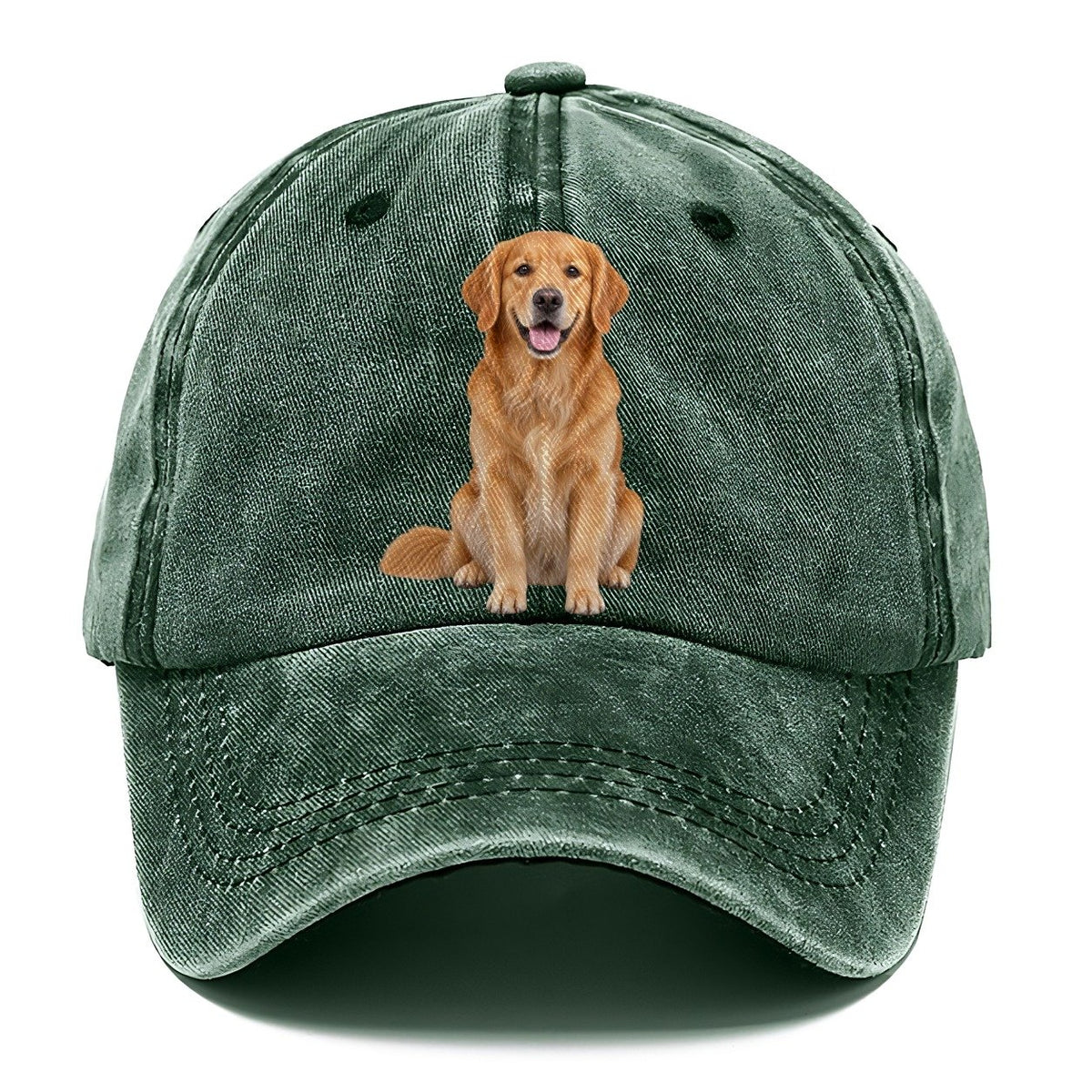 Golden Retriever Sitting Upright Top Breeds Classic Cap – Forest Mist